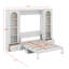 Grand lit plateforme escamotable avec tablette, armoires latérales, tiroirs et DEL-115733980