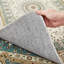 Cambren Machine Tufted Altra Soft Luxury Area Rug -1651048035