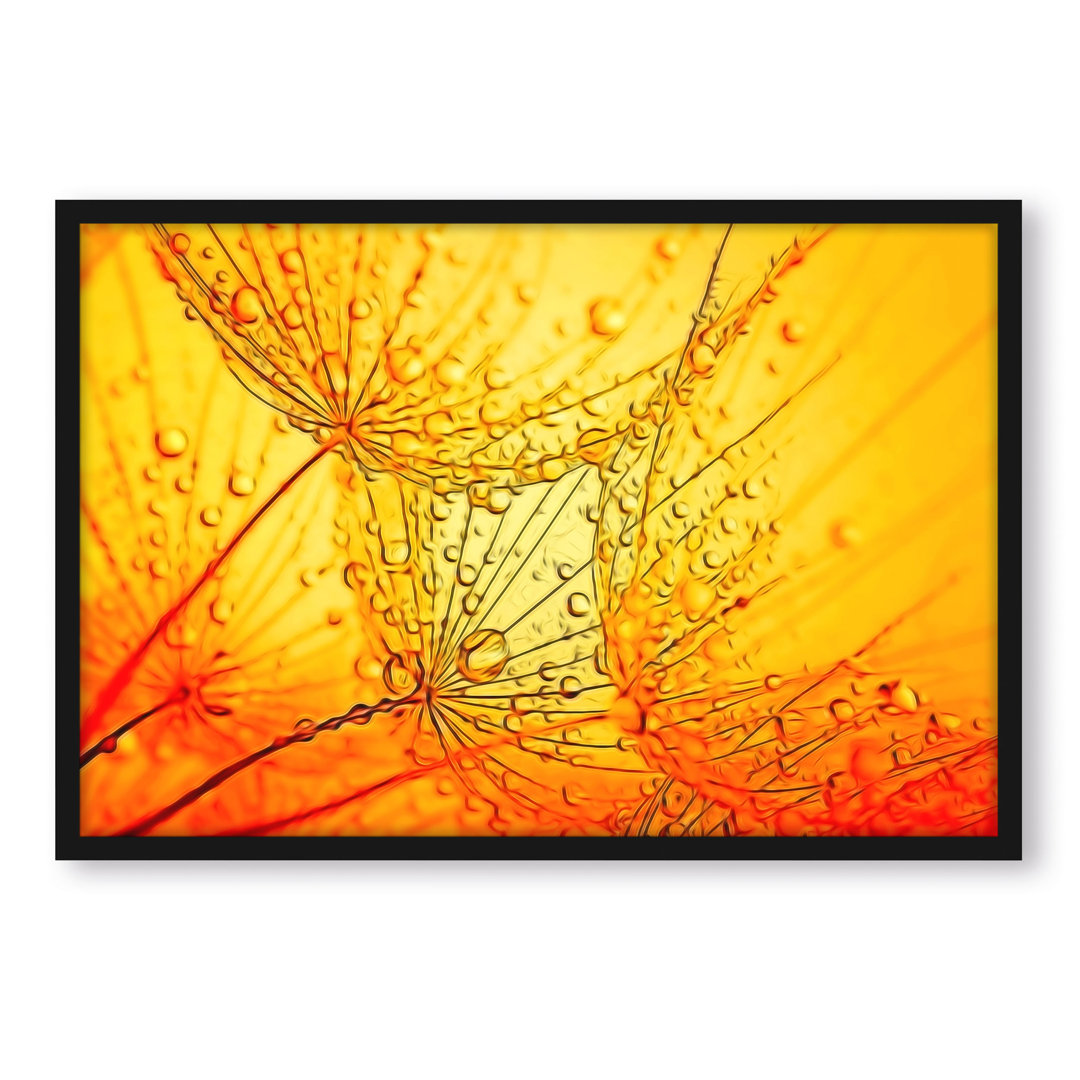 Gerahmtes Poster Dandelion Dew