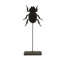 Small Stag Beetle on Stand