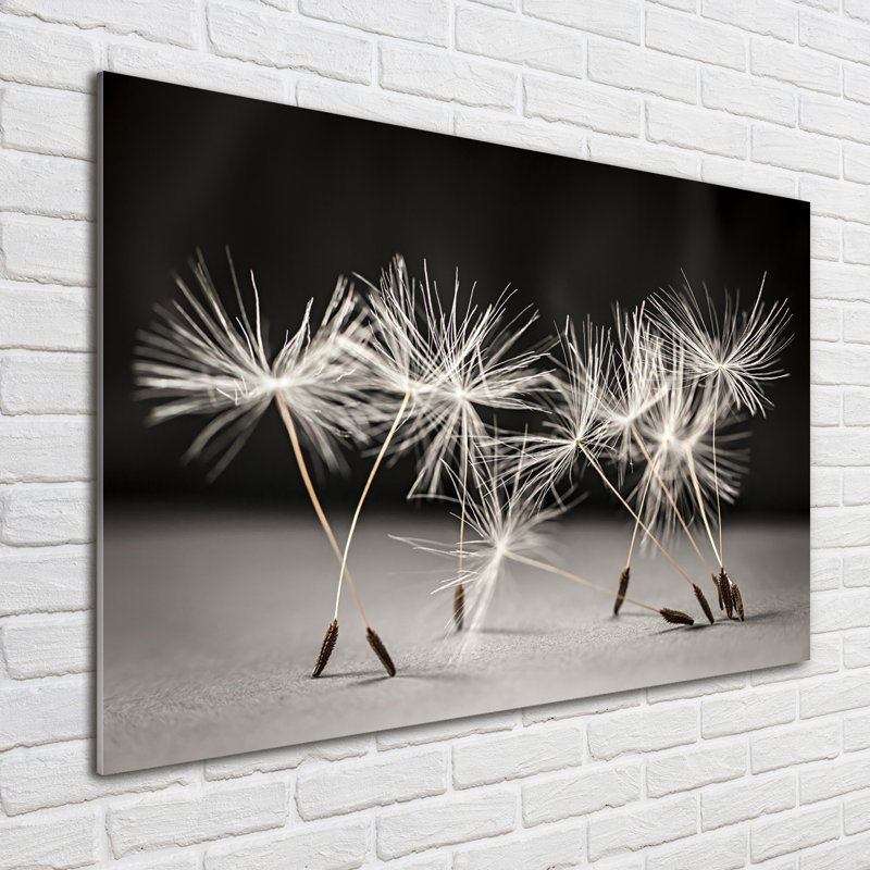 Dandelion Seeds - Unframed Art Prints on Glass