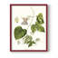 Passion Passion Trio I, reproduction encadrée - bois massif-1578760987-1578760982