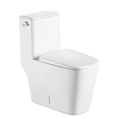 Toilette allongée une pièce à hauteur de plancher Sarlai 1,28 GPF (siège inclus)