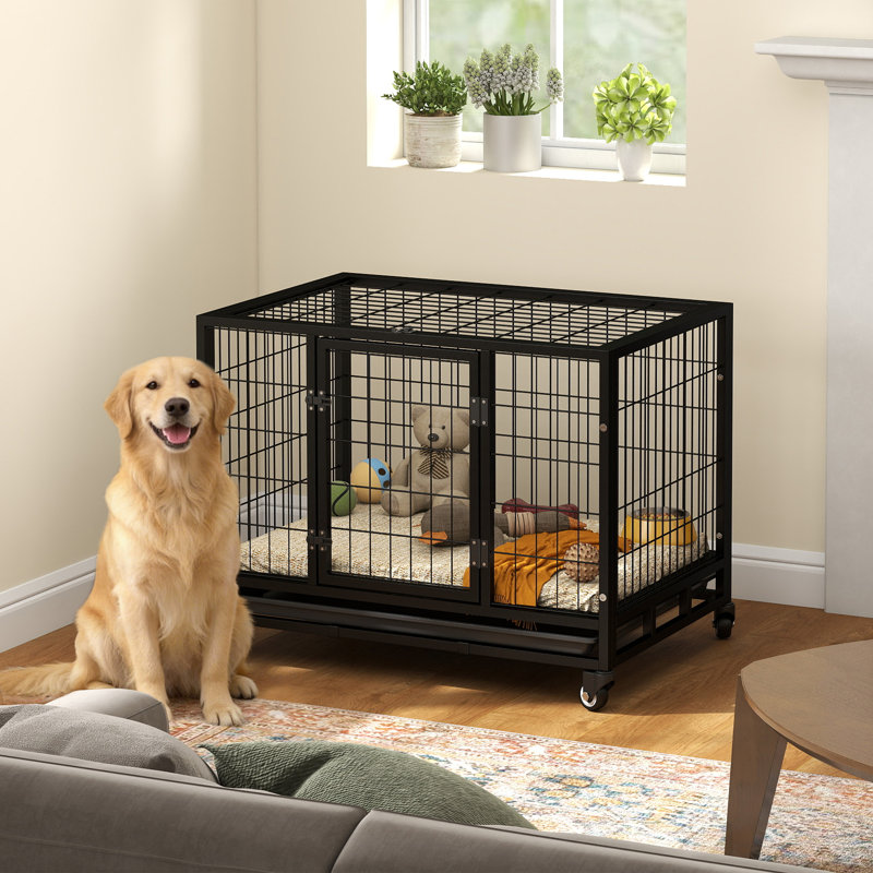 Caisse pour chien robuste 36 "avec plateau amovible, roues verrouillables et porte double, pour chiens de taille moyenne et grande, noir