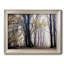 Fall Softly " Fall Softly "-455185471