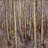The dark forest - 32"x32" art on canvas