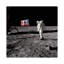 Neil Armstrong Placing American Flag On The Moon by NASA - Wrapped Canvas Gallery-Wrapped Canvas Giclée-69266080