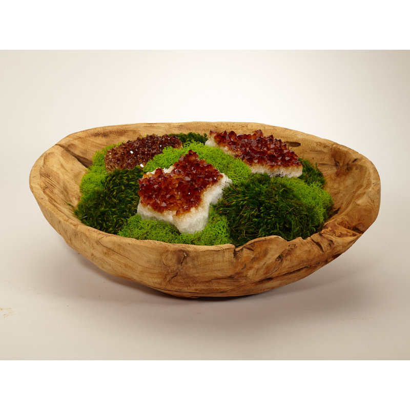 Moss Plant in Wood Planter