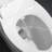 Taranto Elongated Toilet Seat and Lid