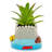 7'' Faux Succulent Plant