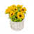 Yellow is out of stock