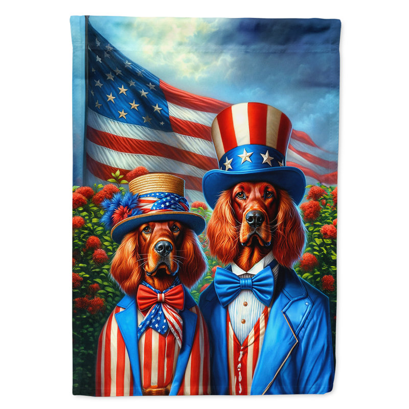 Drapeau «All American House», Setter irlandais à rayures bleues / rouges