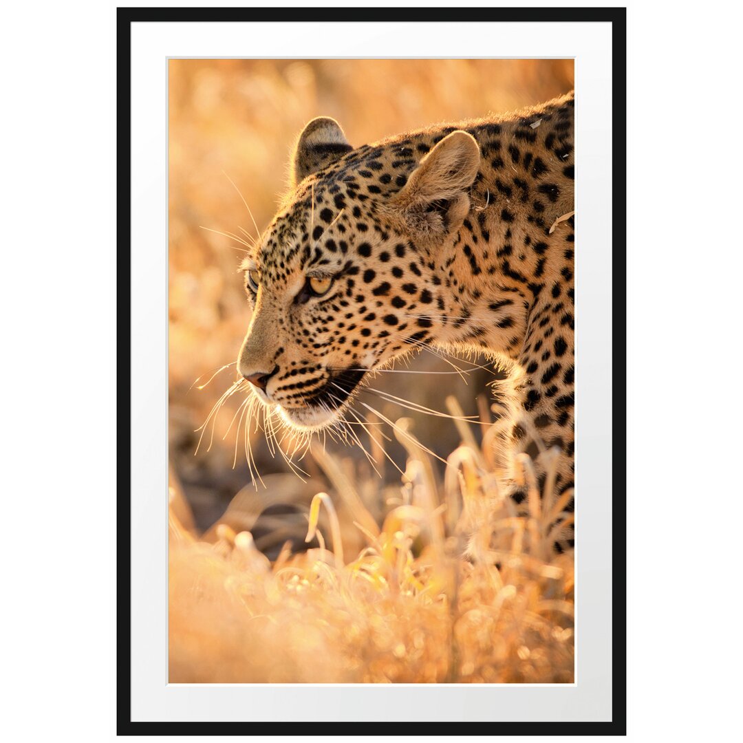 Gerahmtes Poster Jagender Leopard