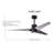 Ceiling Fan with LED Lights-82883359-1457520-5289485