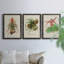 Elegant Tropicals IV - Ensemble de 3 peintures sur toile encadrées-1823053511-1823053508