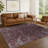 Machine Washable Indoor/Outdoor Chantille ACN2322 Global Rug-1524035735