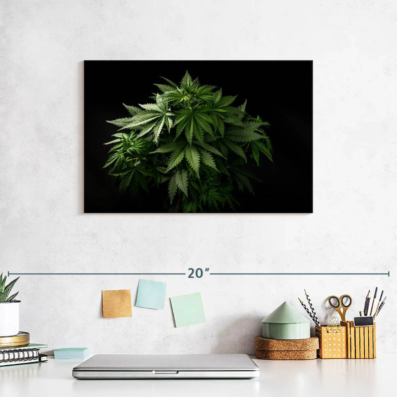 Senne Marijuana Cluster, 8" H x 12" W