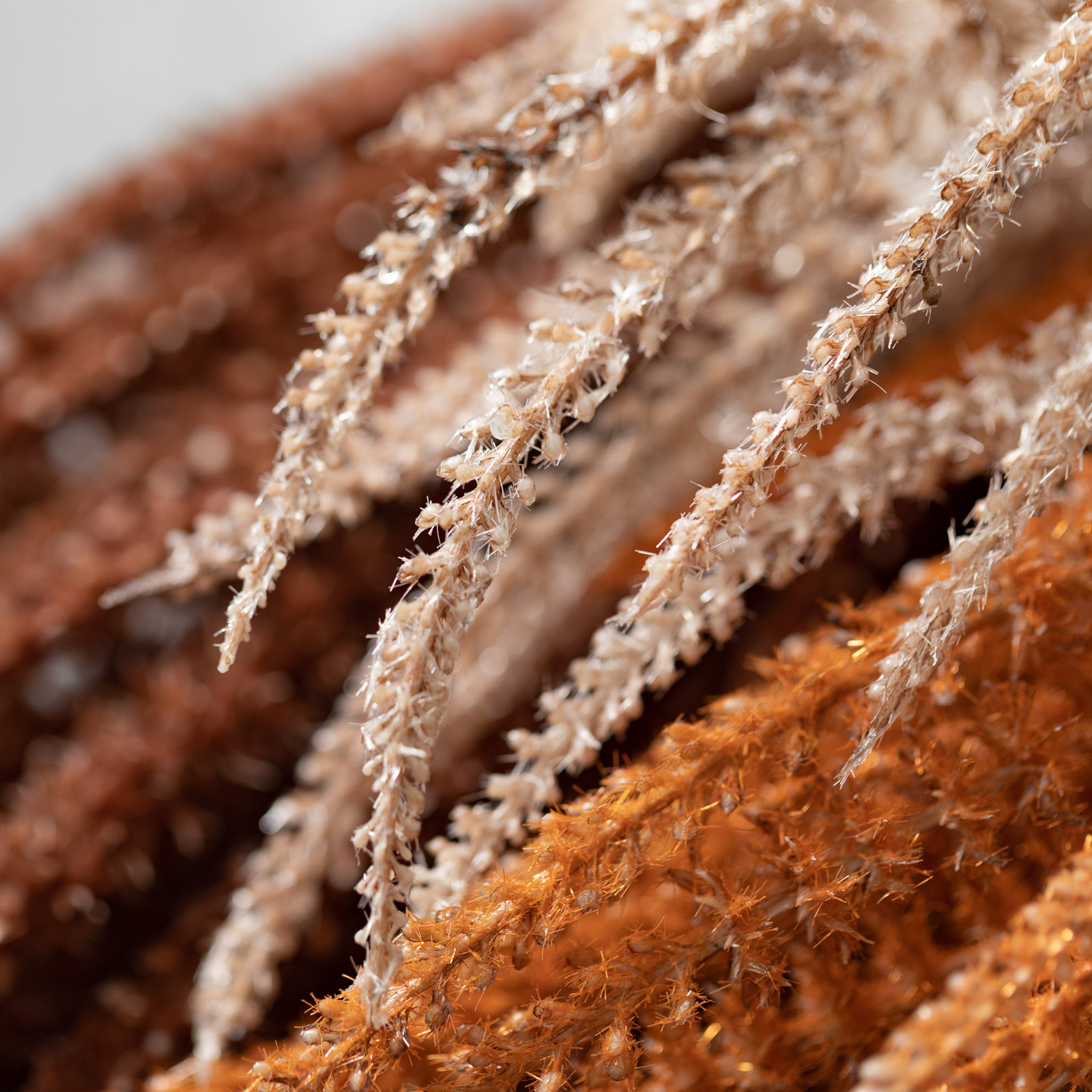 Grass Floral Stems