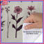 Housses de couette roses et roses-124117047