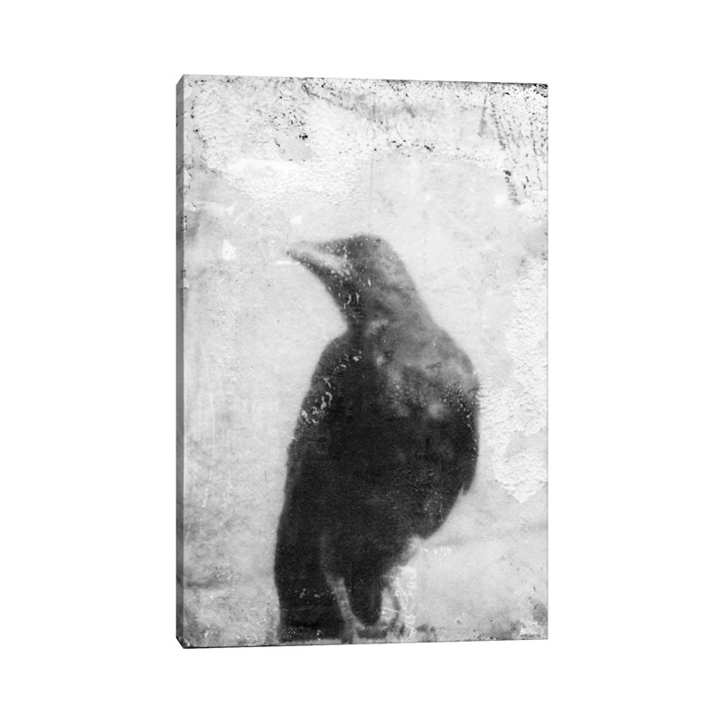 B&W Flight III by Ingrid Blixt - Wrapped Canvas Print, 20.32 cm H x 30.48 cm W