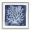 Giclée encadrée de corail blanc sur fond indigo, design par Patti Bishop