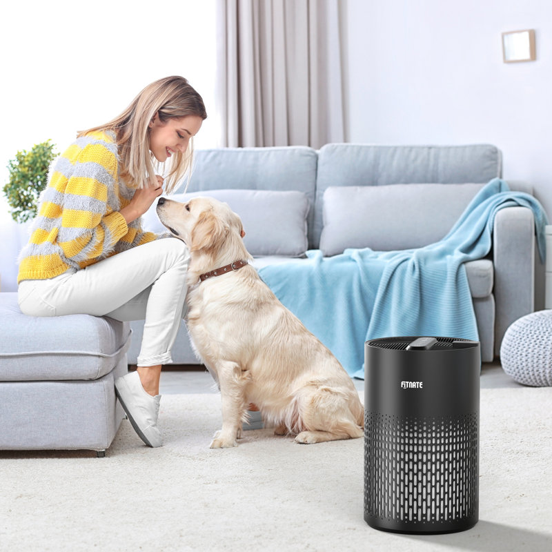 Purificateur d'air Fitnate avec filtre HEPA, Noir, noir, noir, noir