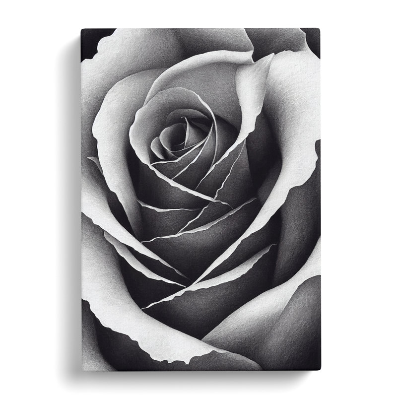 Rose Stippling - Wrapped Canvas, 50cm H x 35cm W x 3cm D