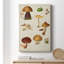 Peinture sur toile Mushroom Species II-979201930