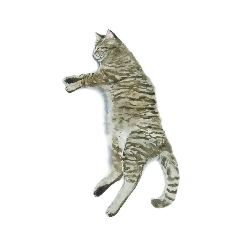 Sleeping Tabby Cat II by Alexey Dmitrievich Shmyrov - Wrapped Canvas Print, 20.32 cm H x 30.48 cm W