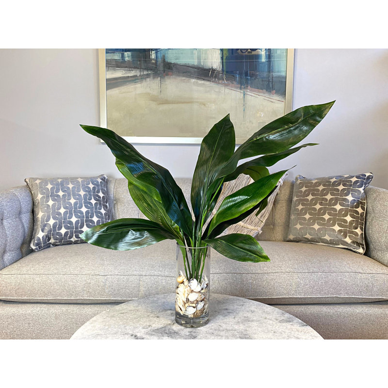 Rockwood Faux Aspidistra Plant in Glass Vase