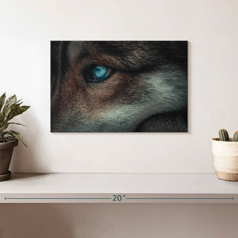 Loup aux yeux bleus Brampt, H 8 po x l 12 po