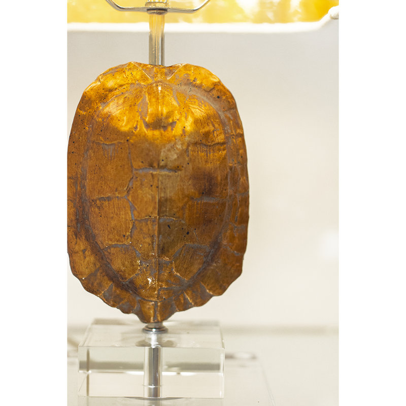 Tortoise Table Lamp