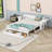 Multifunctional Wood Convertible Daybed with Built-in Desk, Storage Drawer-867099467-867099465