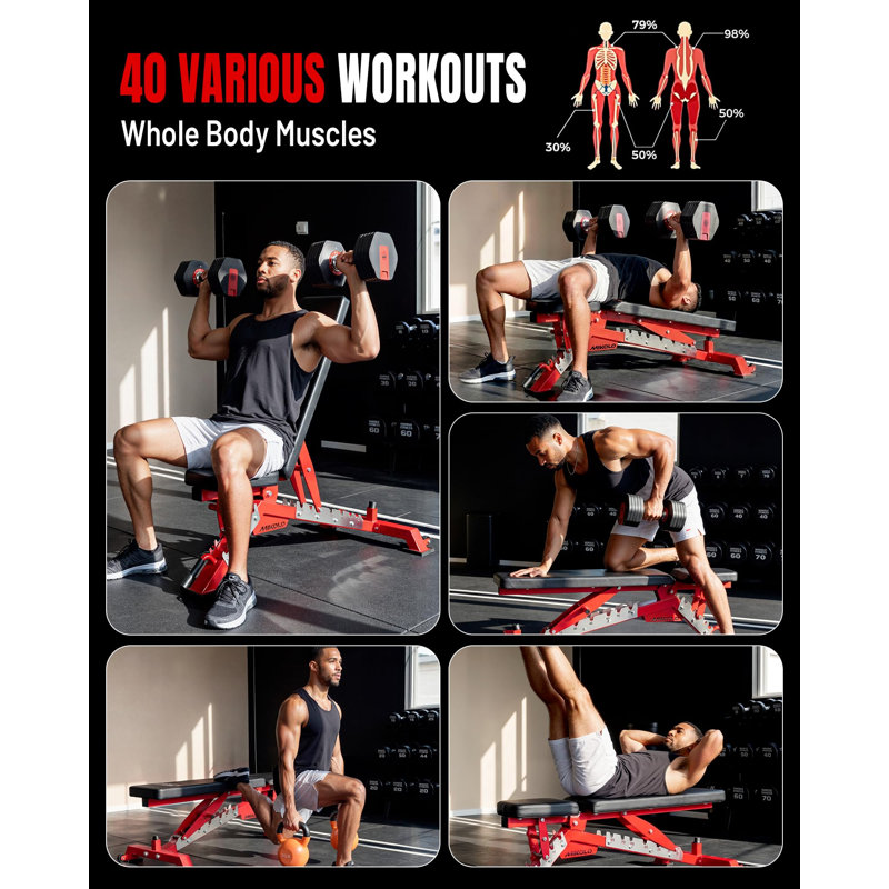 Banc de musculation Mikolo, capacité de 1 300 lb, 40 positions et rangement vertical pour le gymnase à domicile, Red