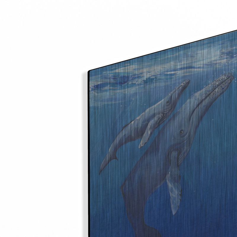 «Under Sea Whales I» par Tim O'Toole, art mural en métal, 12 po x 16 po par Tim O'Toole