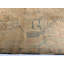 Wool Oriental Area Rug in Tan/Ivory