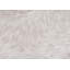 Coussins, carré 18 X 18, insert inclus, jet décoratif, accent, canapé, canapé, chambre à coucher, polyester hypoallergénique doré, moderne-121319890