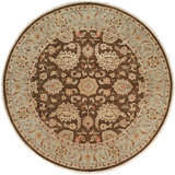 Wool Oriental Area Rug