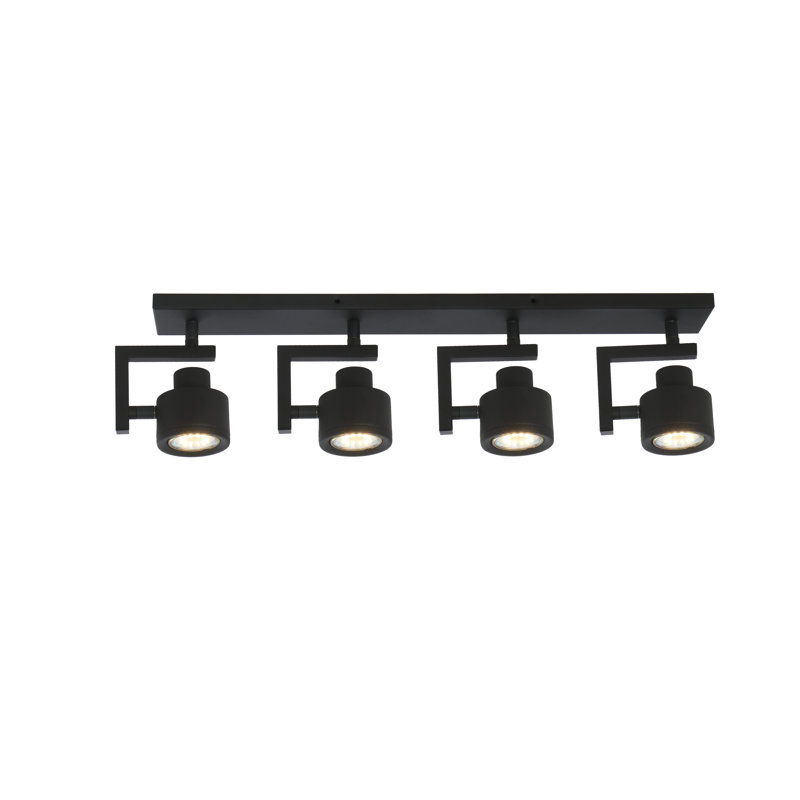 Plumville Spotlight, Black
