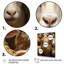 «Sheep Familly Harmony - Animals», reproduction sur toile-1608228987-1608228991