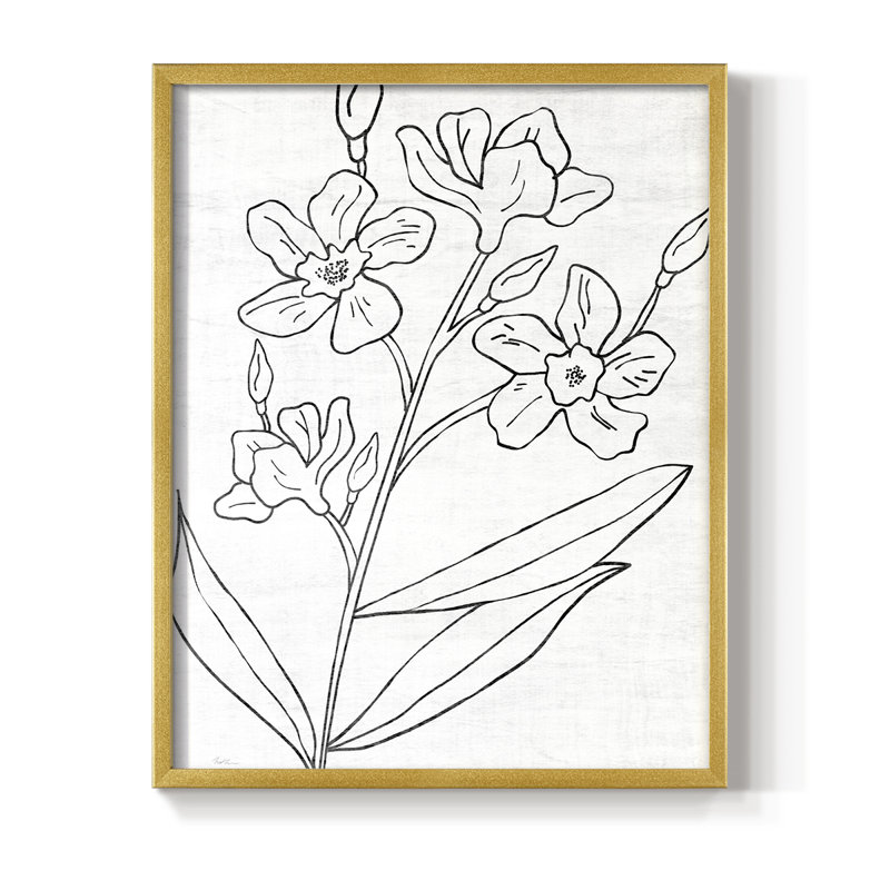 «Botanical Sketch I», reproduction encadrée - bois massif, H 14 po x l 11 po