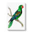 Great-billed Parrot by George Shaw - Wrapped Canvas-55304075