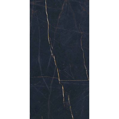 Precious Black 3-d Antique Marble Look 24x48 Porcelain Tile
