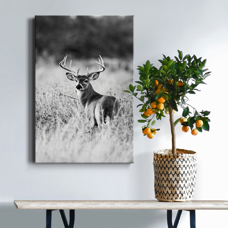 Grasslands - reproduction de photo, H 18 po x l 12 po x P 1 po, Toile tendue, Pas de tapis