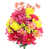Fuchsia est en rupture de stock