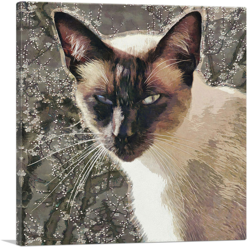 " Snowshoe Cat Breed Brown ", 36" H x 36" W x 0.75" D