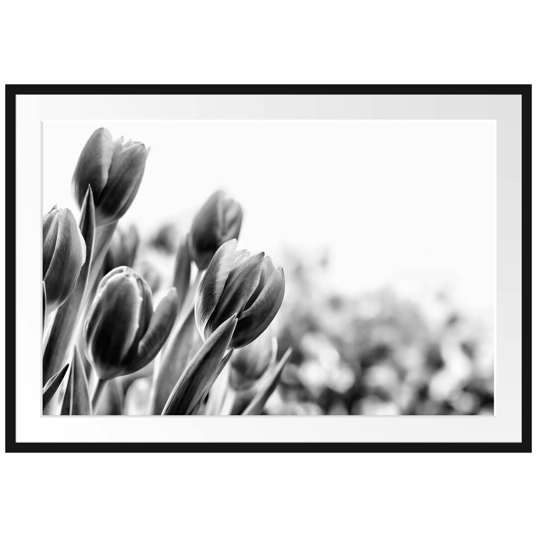 Gerahmtes Poster Bunte Tulpenwiese