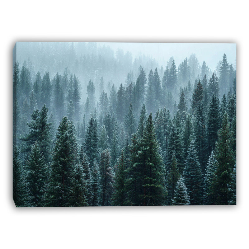 «Frosted Alpine Pines», art mural sur toile tendue, H 36 po x l 48 po