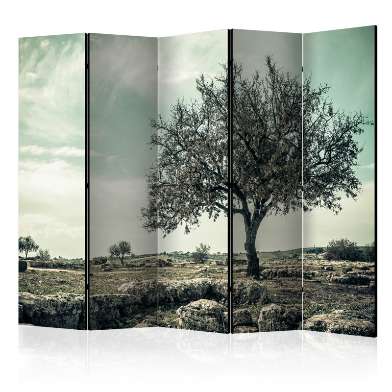 Buck 225cm W x 172cm H 5 - Panel Solid Wood Folding Room Divider