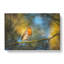 Robin Bird In A Tree - Wrapped Canvas-56640806